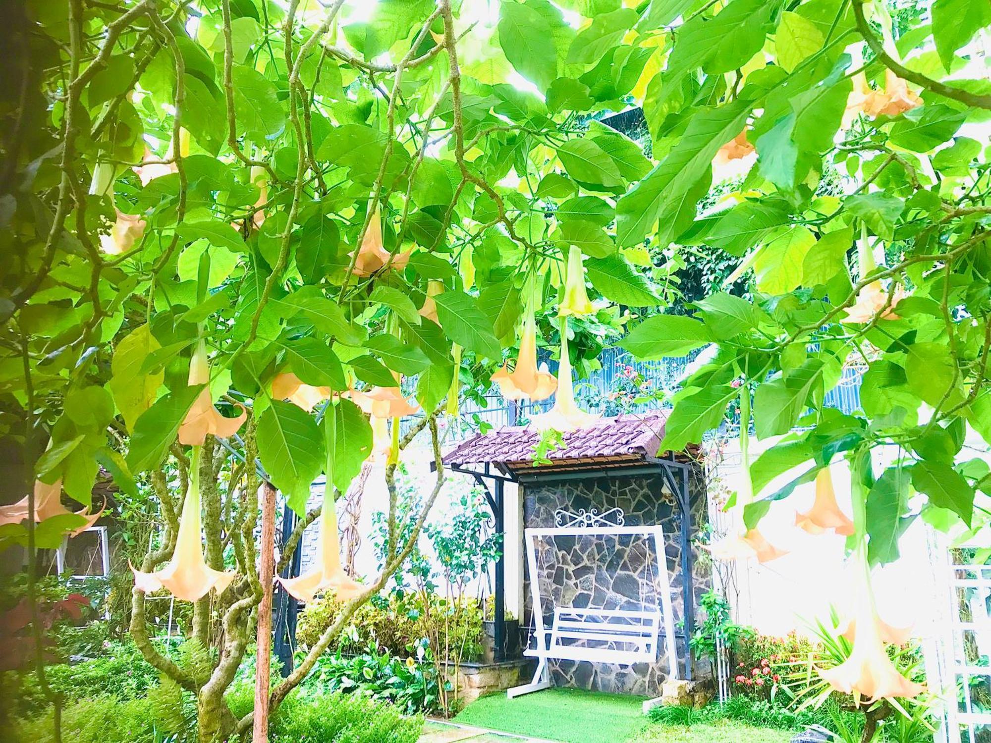 Hotel Hoa NáNg باو لوك المظهر الخارجي الصورة