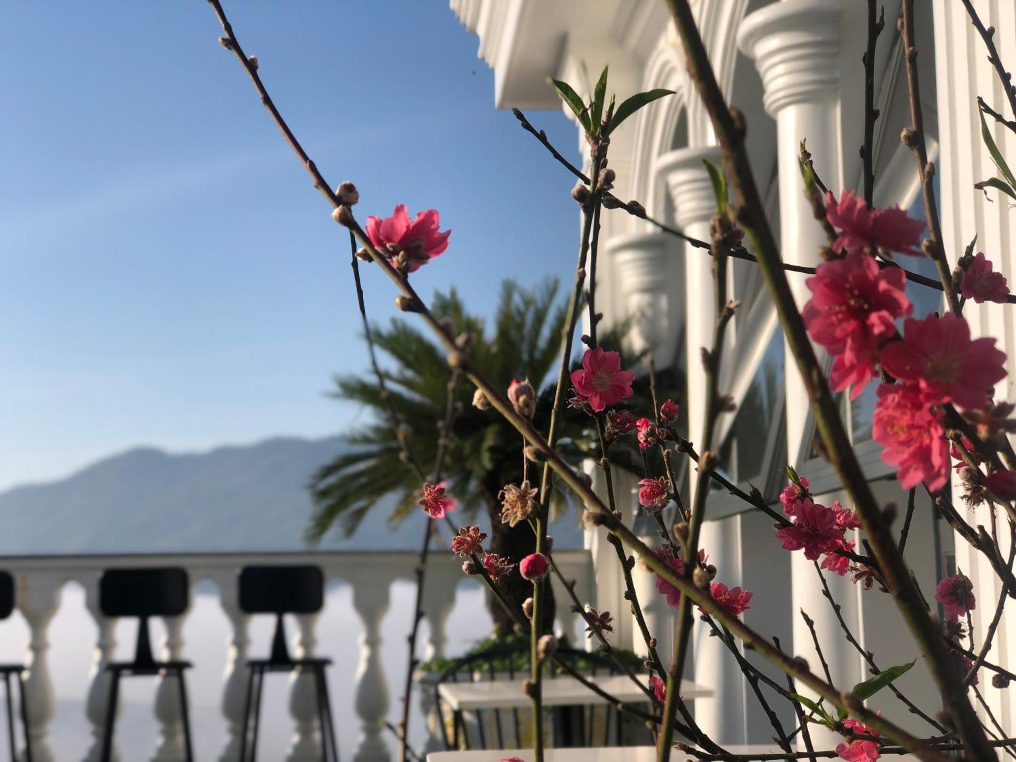 Hotel Hoa NáNg باو لوك المظهر الخارجي الصورة