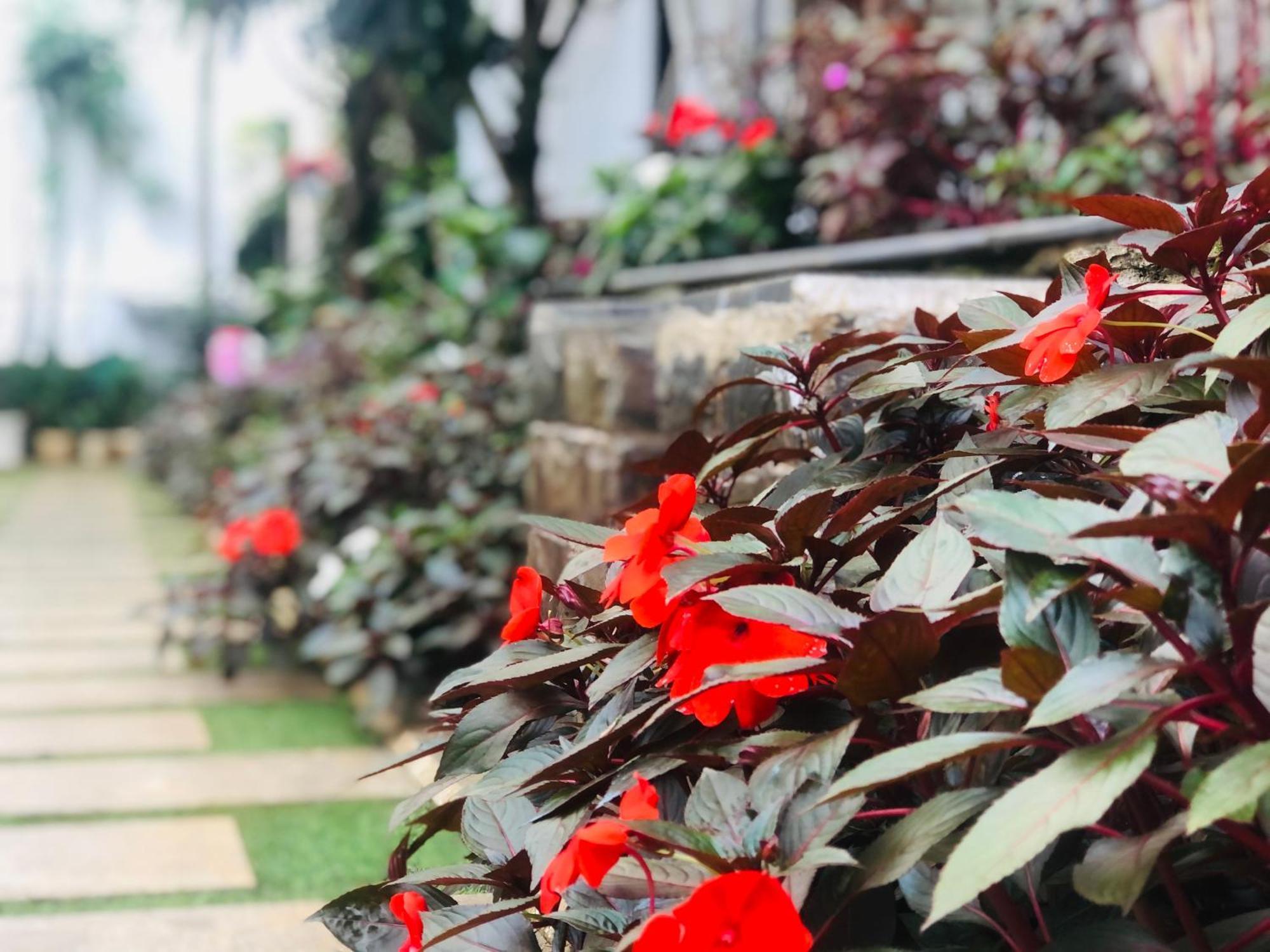 Hotel Hoa NáNg باو لوك المظهر الخارجي الصورة